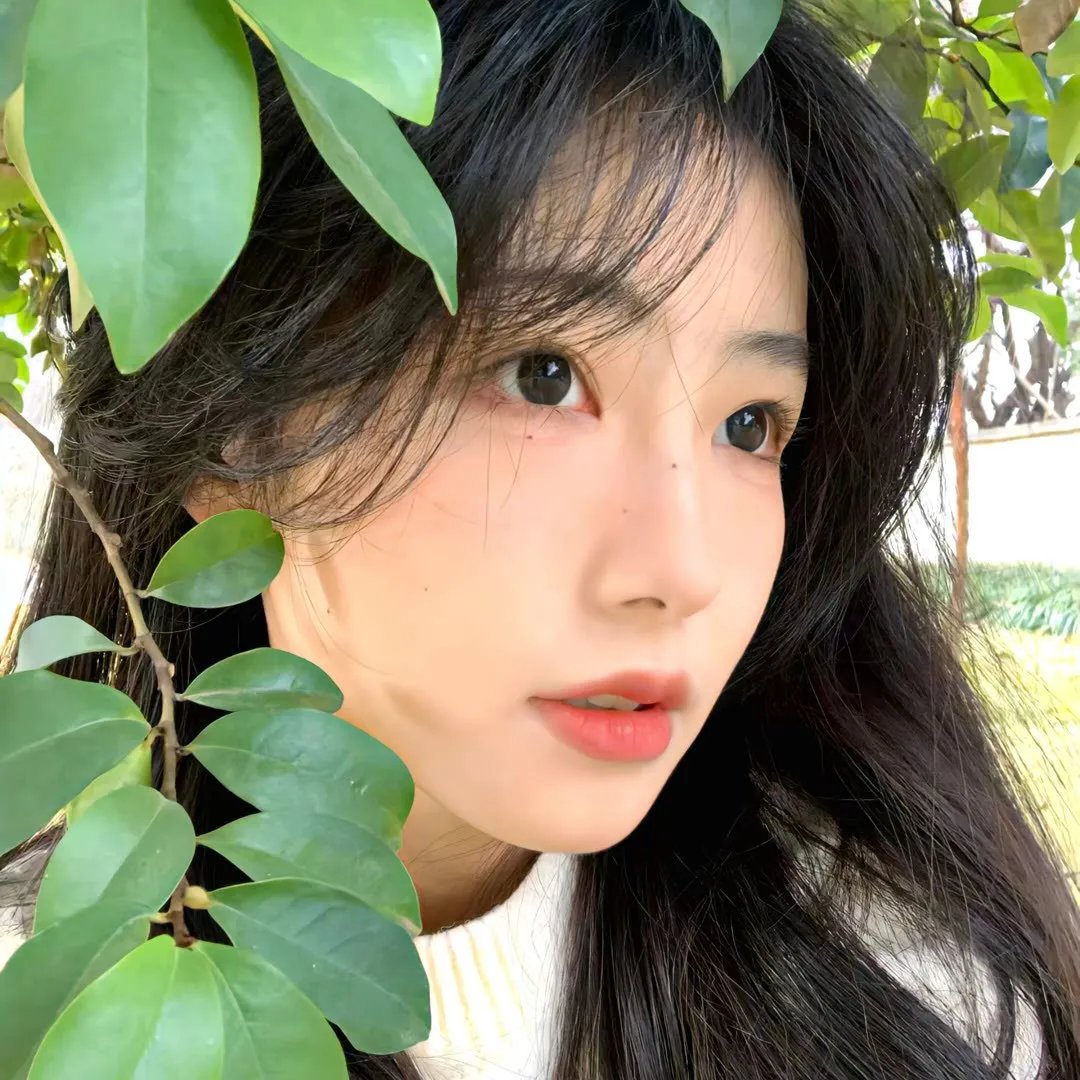 你好,树公主